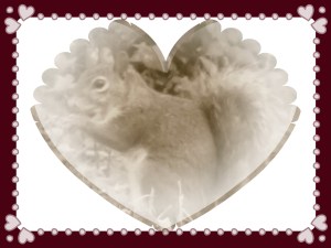 © Photo Artist Susan Ruth Robertson 042