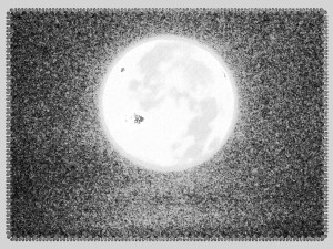 © Photo Artist Susan Ruth Robertson 005