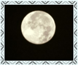 © Photo Artist Susan Ruth Robertson 006