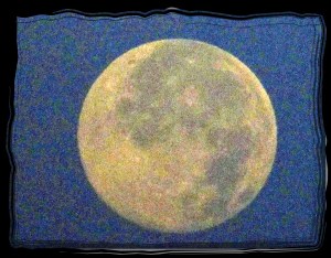 © Photo Artist Susan Ruth Robertson 019