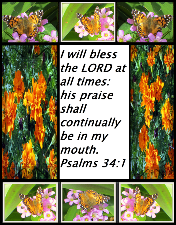 4b71a98f51984ad2a30bd2bca300f3b3 - Copy.png