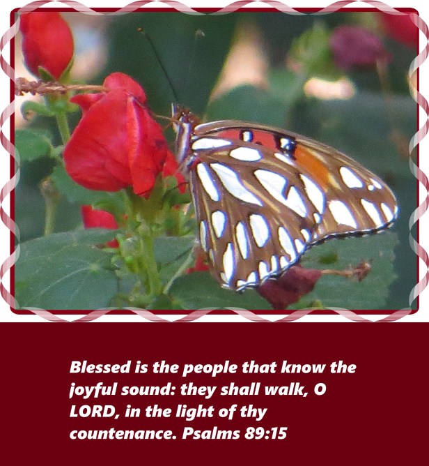 © Photo Artist Susan ruth Robertson 012 - Copy (2).JPG