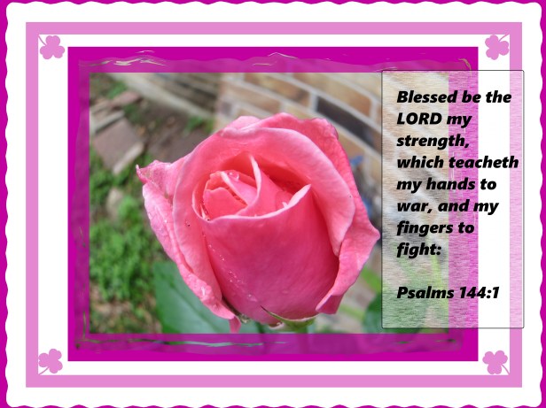 © Photo Artist Susan Ruth Robertson 014 - Copy.JPG