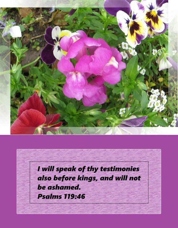 © Photo Artist Susan Ruth Robertson 014 - Copy.JPG