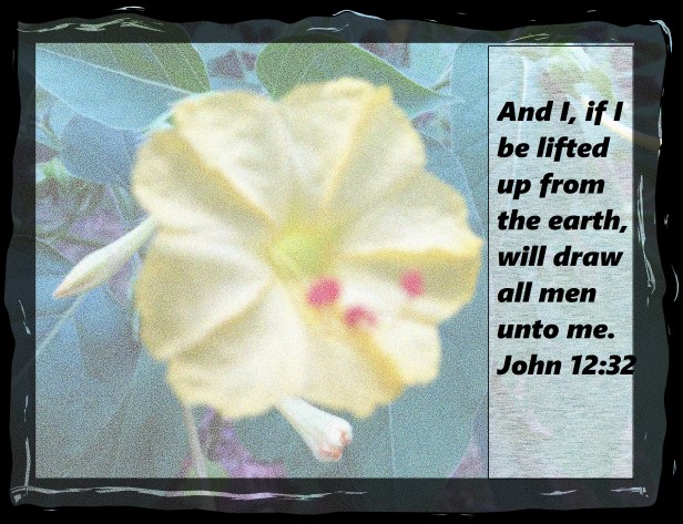 © Photo Artist Susan Ruth Robertson 032.JPG