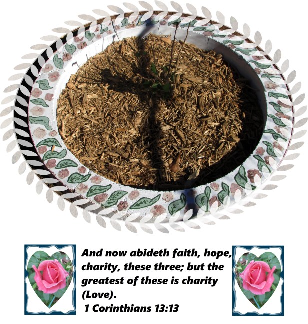 © Photo Artist Susan Ruth Robertson 09002500610 007 (25) - Copy.JPG