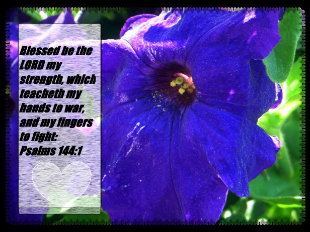 © Photo Artist Susan Ruth Robertson 09002500610 011 - Copy.JPG