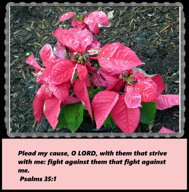 © Photo Artist Susan Ruth Robertson 09002500610 023 - Copy.JPG