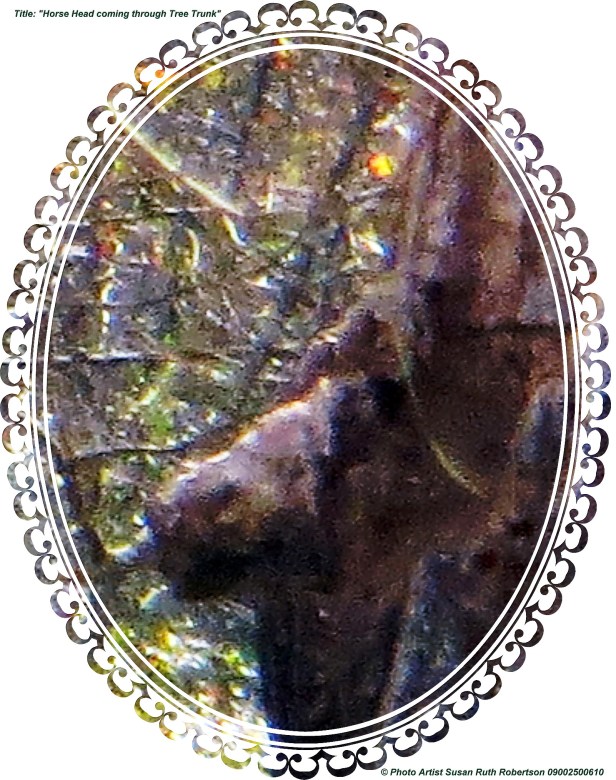 © Photo Artist Susan Ruth Robertson 09002500610 025