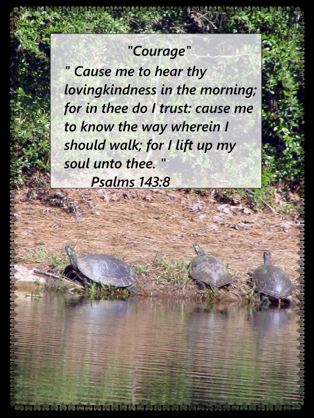 © Photo Artist Susan Ruth Robertson 09002500610 027 - Copy.JPG