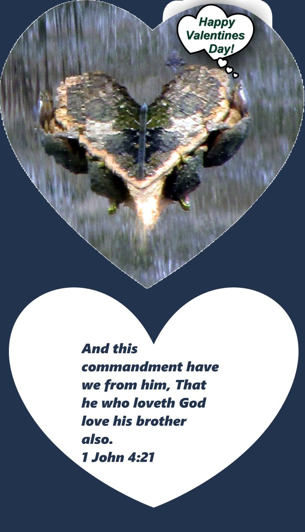 © Photo Artist Susan Ruth Robertson 09002500610 035 - Copy.JPG