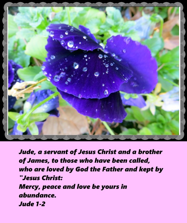 © Photo Artist Susan Ruth Robertson 09002500610 036 - Copy.JPG