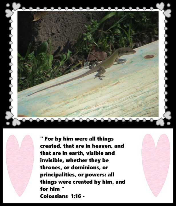 © Photo Artist Susan Ruth Robertson 09002500610 040 - Copy.JPG