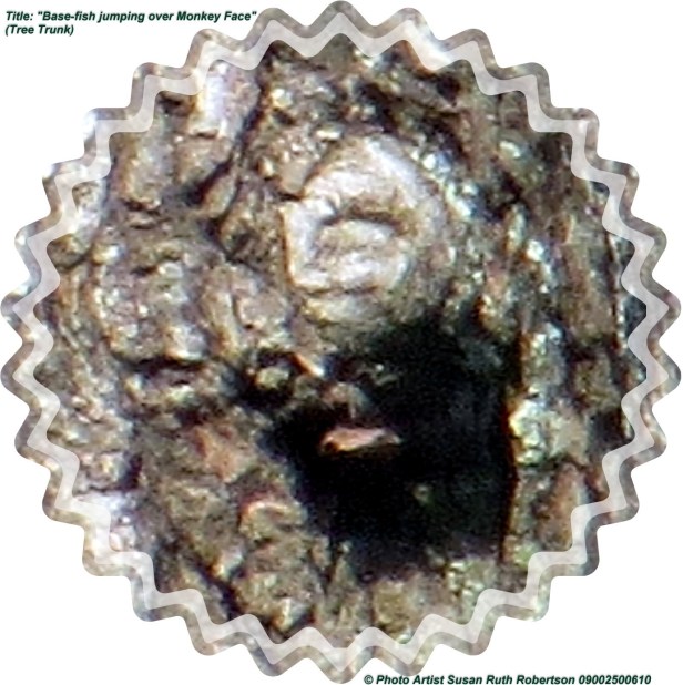 © Photo Artist Susan Ruth Robertson 09002500610 046