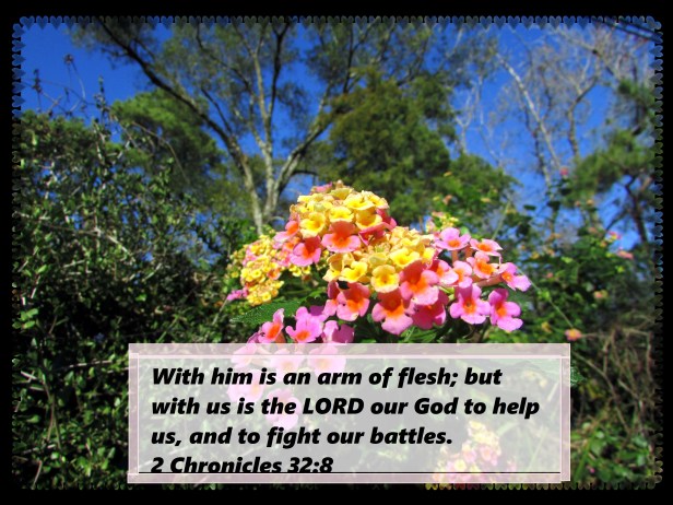 © Photo Artist Susan Ruth Robertson 09002500610 053 - Copy.JPG