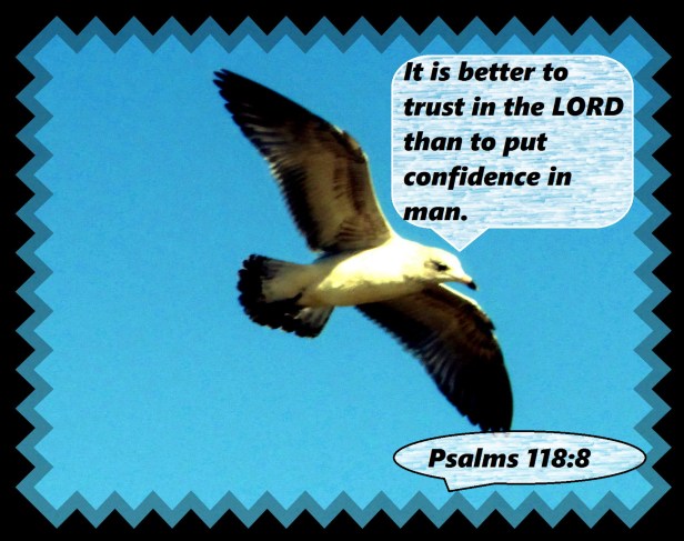 © Photo Artist Susan Ruth Robertson 09002500610 073 - Copy.JPG