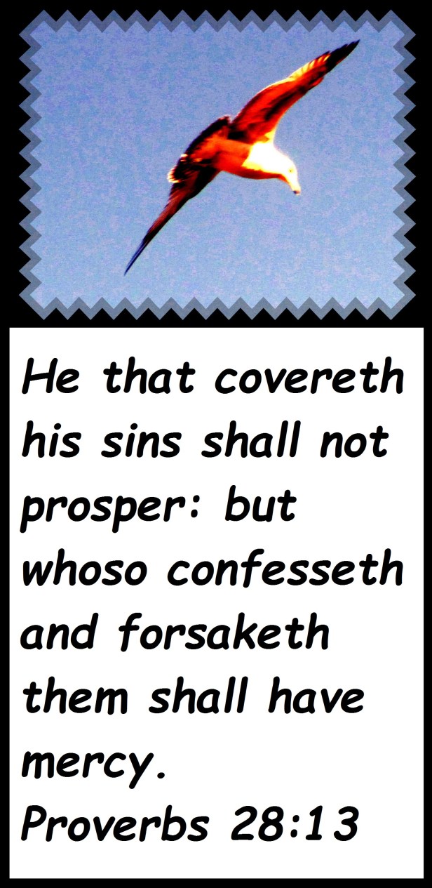 © Photo Artist Susan Ruth Robertson 09002500610 081 - Copy.JPG