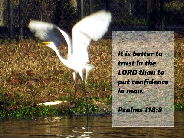 © Photo Artist Susan Ruth Robertson 090250610 043 - Copy.JPG