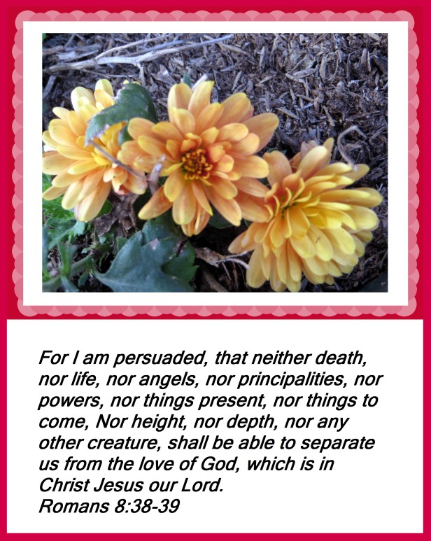 Photo Artist Susan Robertson all Rights Reserved 004 - Copy.JPG