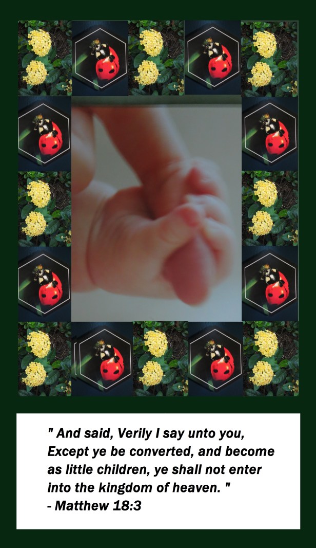 001 - Copy (2) - Copy - Copy - Copy - Copy - Copy - Copy - Copy.JPG