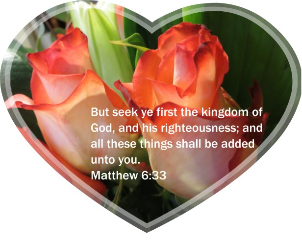 © Photo Artist Susan R. Robertson 027 - Copy (2).JPG