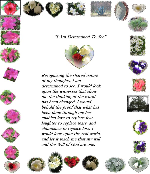 © Photo Artist Susan Ruth Robertson 005 - Copy (2)