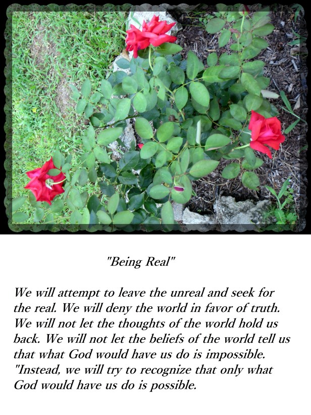 © Photo Artist Susan Ruth Robertson 009 - Copy