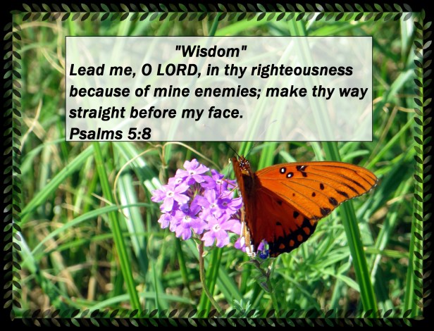 © Photo Artist Susan Ruth Robertson 011 - Copy (2).JPG