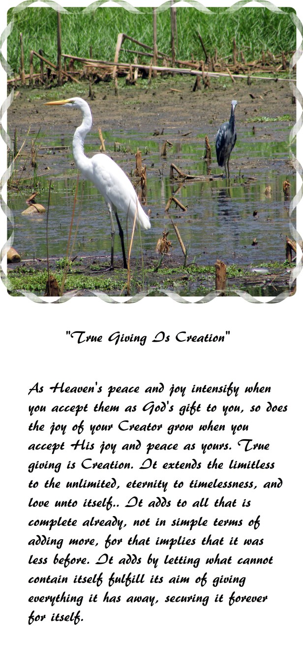 © Photo Artist Susan Ruth Robertson 017 - Copy