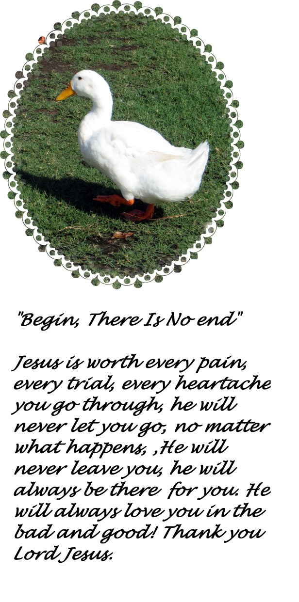 © Photo Artist Susan Ruth Robertson 017