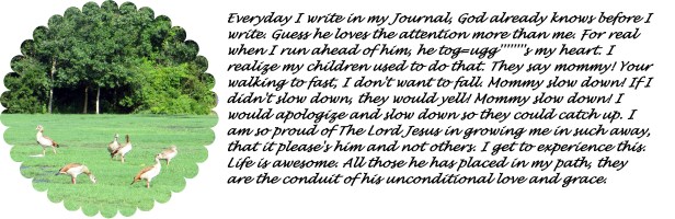 © Photo Artist Susan Ruth Robertson 019 - Copy (2)