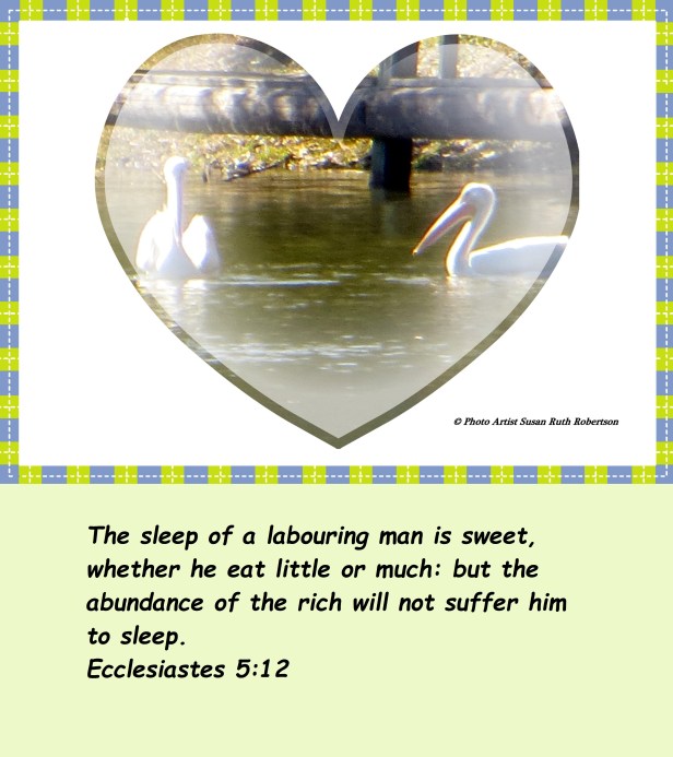 © Photo Artist Susan Ruth Robertson 020 - Copy (2).JPG