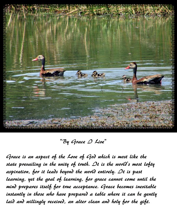 © Photo Artist Susan Ruth Robertson 033 - Copy