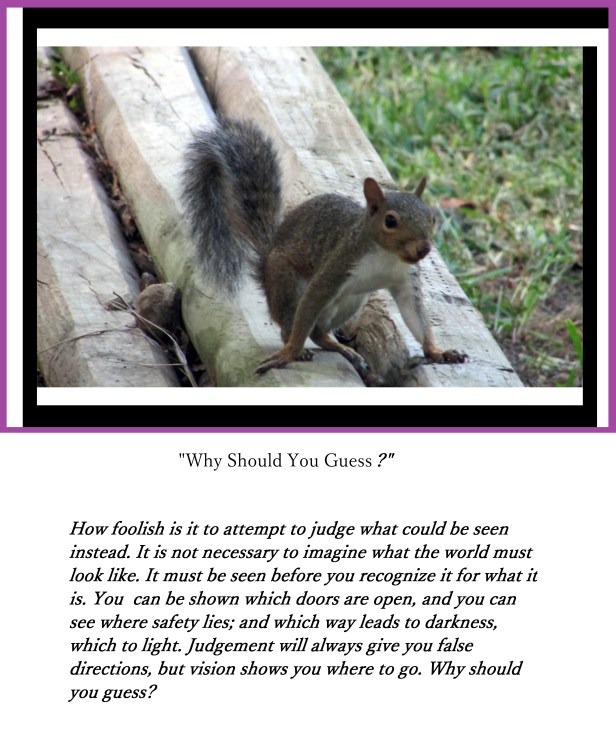 © Photo Artist Susan Ruth Robertson 038 - Copy