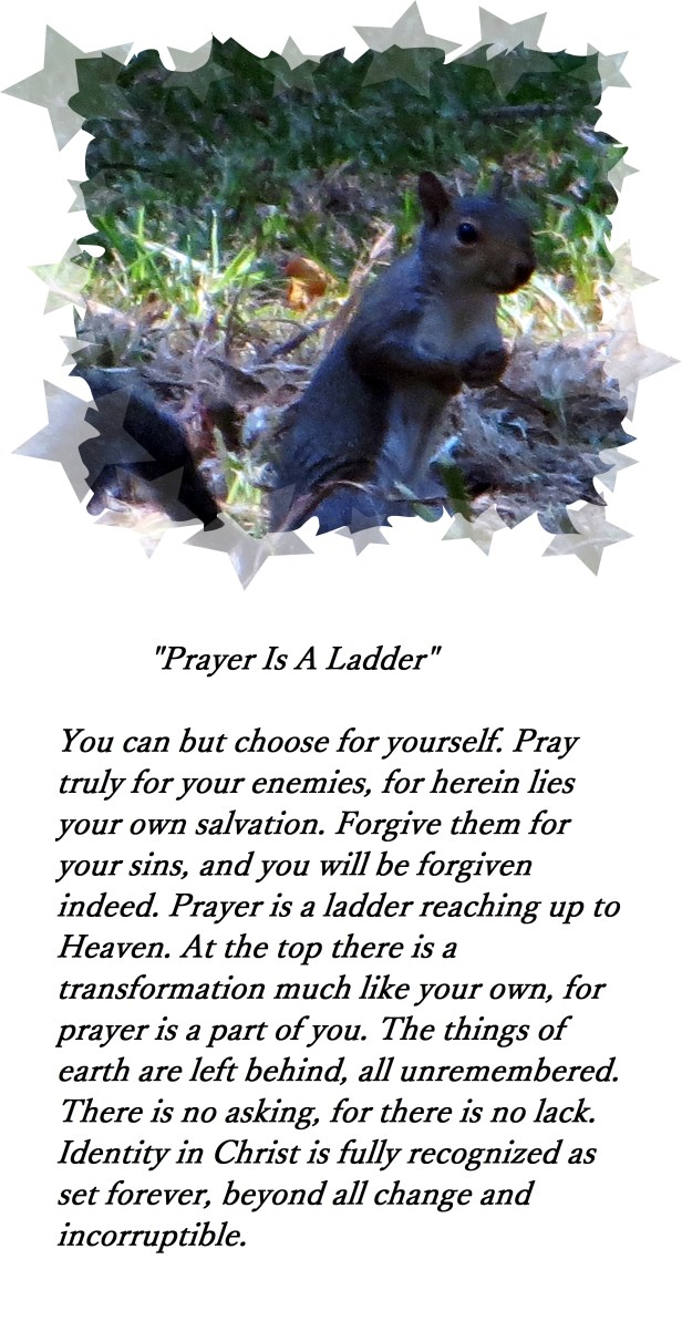 © Photo Artist Susan Ruth Robertson 040 - Copy