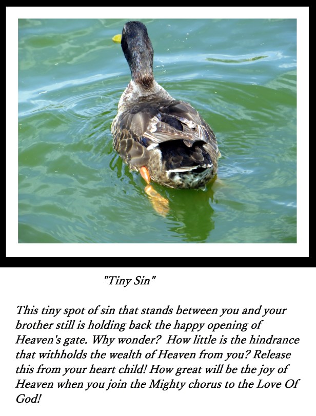 © Photo Artist Susan Ruth Robertson 041 - Copy