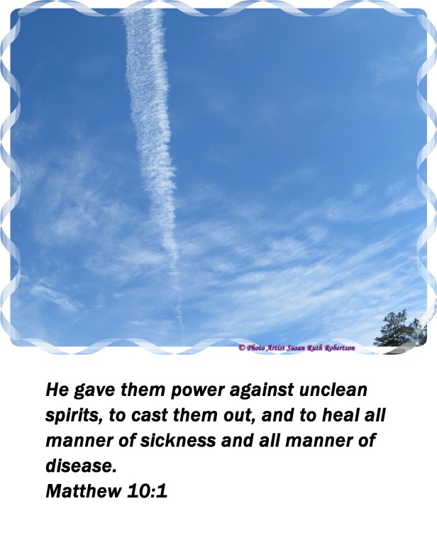 © Photo Artist Susan Ruth Robertson 042 - Copy.JPG