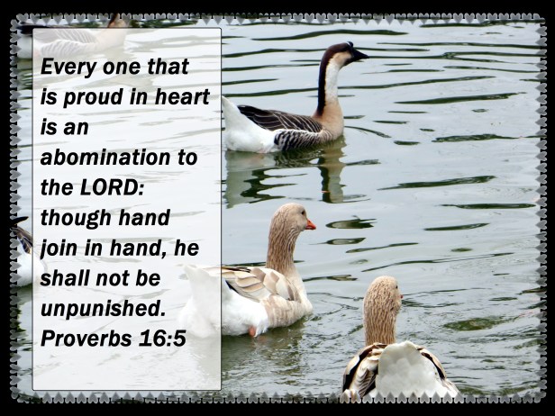 © Photo Artist Susan Ruth Robertson 046 - Copy.JPG