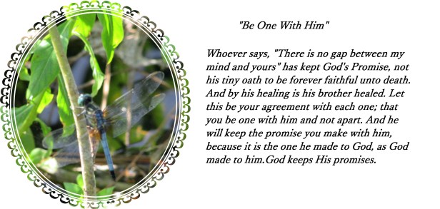 © Photo Artist Susan Ruth Robertson 057 - Copy