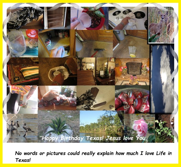 © Photo Artist Susan Ruth Robertson 09002500610 001 - Copy.JPG