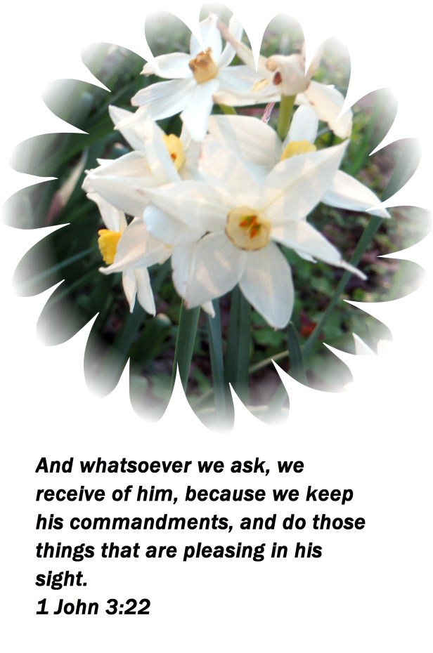 © Photo Artist Susan Ruth Robertson 09002500610 011 - Copy.JPG