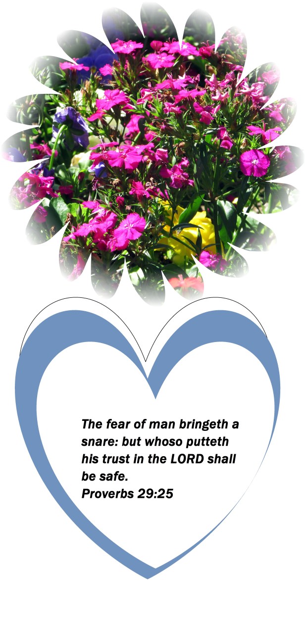 © Photo Artist Susan Ruth Robertson 09002500610 022 - Copy.JPG