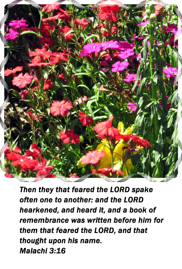 © Photo Artist Susan Ruth Robertson 09002500610 023 - Copy.JPG