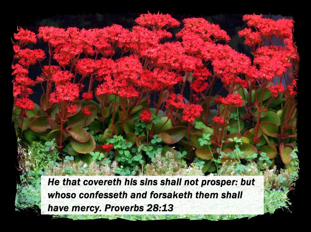 © Photo Artist Susan Ruth Robertson 09002500610 046 - Copy.JPG