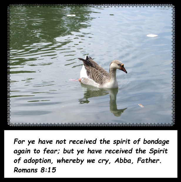 © Photo Artist Susan Ruth Robertson 09002500610 070 - Copy.JPG