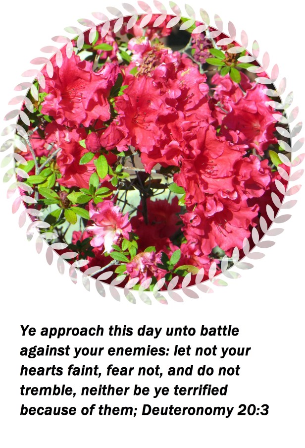 © Photo Artist Susan Ruth Robertson 09002500610 073 - Copy.JPG