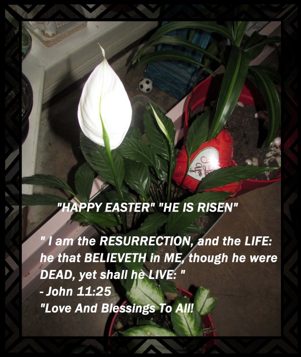 © Photo Artist Susan Ruth Robertson 09002500610 088.JPG