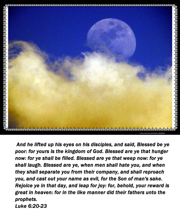 © Photo Artist Susan Ruth Robertson 09002500610 139 - Copy (2).JPG