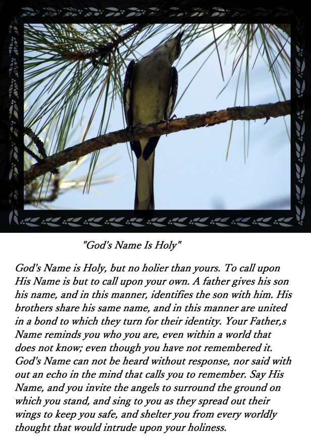 © Photo Artist Susan Ruth Robertson 102 - Copy (2)