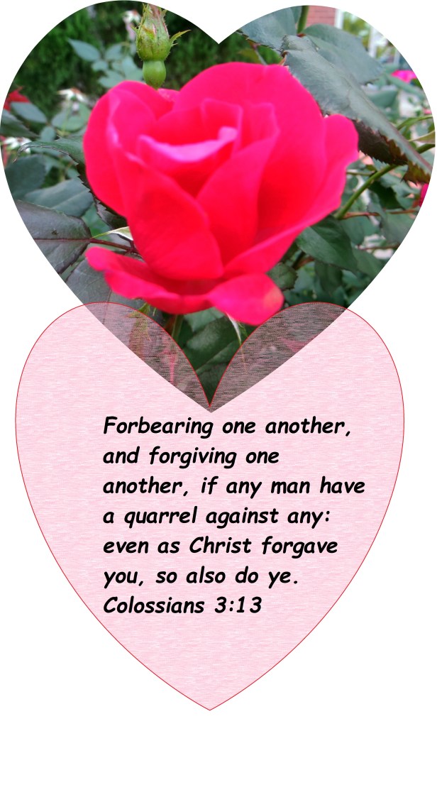 ©Photo Artist Susan Ruth Robertson 0900250061 010 - Copy (2).JPG